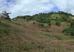 Farm Lot / Farm Land for sale. Pililia Rizal. Titled