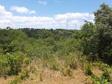 lot for sale in alta monte pililla rizal- Good for investment!