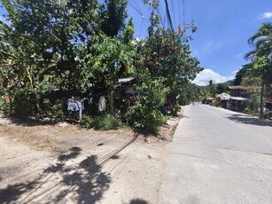 Guinacot, Danao, Lot For Sale