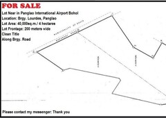 4 hectares land for sale in Lourdes Panglao Bohol