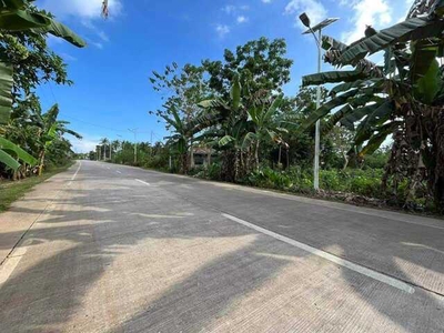 Lot For Sale In Bolod, Panglao