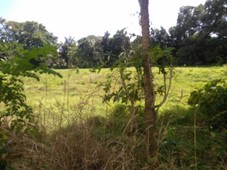RUSH SALE VERY LOW PRICE NEGOTIABLE 1 HECTARE LOT ALONG PROVINCIAL ROAD PLARIDEL BULACAN FOR WAREHOUSE AND FACTORY