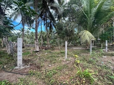 Lot For Sale In Aumbay, Island Of Garden Samal, Samal