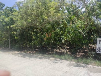 Lot For Sale In Upper Licanan, Panabo