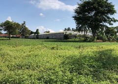 Farm Lot For Sale -- 6 min away from Tagaytay