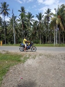2 Hectares Land For Sale in Malalag, Davao Del Sur - PHP 8M