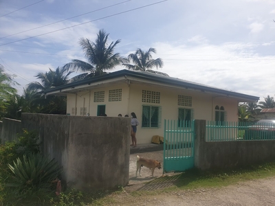House and Lot in Argao For Sale