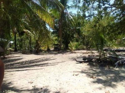 3 Hectares Beach Front Lot For Sale in Taluya, Glan, Sarangani