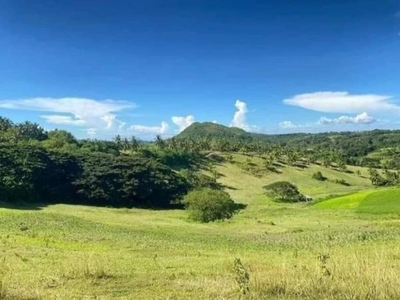 Perfect location for investment here Lot for sale in Ilihan, Tabogon Cebu