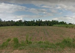 4.6-has. titled property in bago city