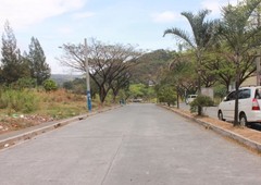Blue Mountains Commercial and Residential Estates Antipolo