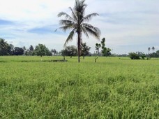 For Sale 12 Hectares Land in Koronadal City