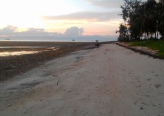 PRIME BEACH PROPERTY IN PANGLAO 28 HECTARES - WHITE SANDS