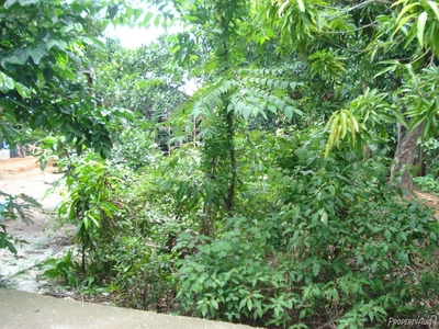 129 Sqm Residential Land/lot Sale In Limay