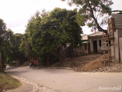 145 Sqm House And Lot Sale In San Mateo