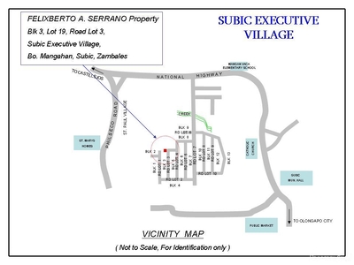 252 Sqm Residential Land/lot Sale In Subic