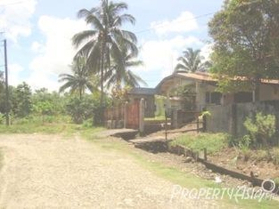 266 Sqm House And Lot Sale In Bislig City