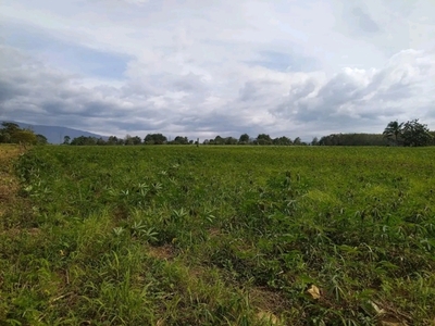 Lot For Sale In Alae, Manolo Fortich