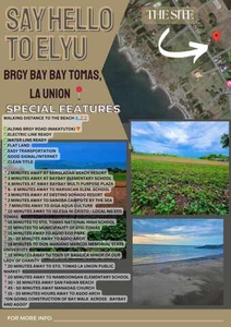 Lot For Sale In Baybay, Santo Tomas