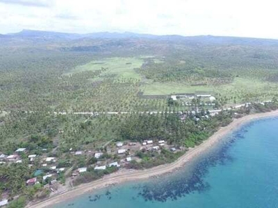 Lot For Sale In Camflora, San Andres