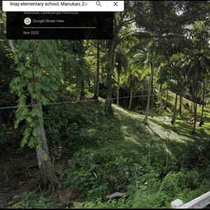 Lot For Sale In Linay, Manukan