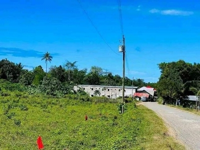 Lot For Sale In Lourdes, Alubijid