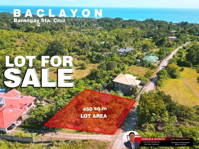 Lot For Sale In Santa Cruz, Baclayon