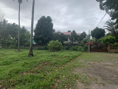 Residential Lot for sale in Dumaguete