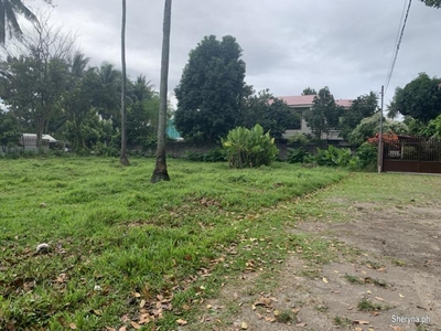 RESIDENTIAL LOT FOR SALE IN DUMAGUETE CITY ID 14850