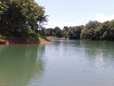 Rolling farm lot with water springs suitable for fish pond