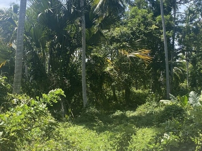 Lot For Sale In Aborlan, Palawan