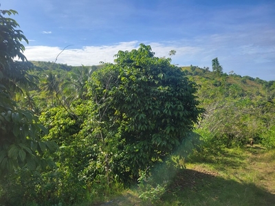Lot For Sale In Agpudlos, San Andres