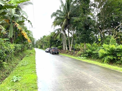 Lot For Sale In Barangay Iv, Amadeo