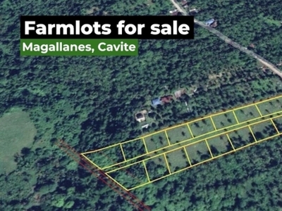 Lot For Sale In Bendita Ii, Magallanes
