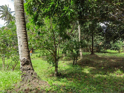 Lot For Sale In Daine I, Indang