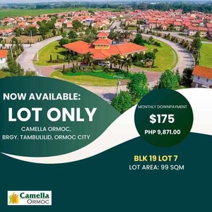 Lot For Sale In Dolores, Ormoc