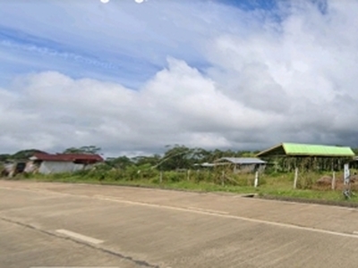 Lot For Sale In Lunotan, Gingoog
