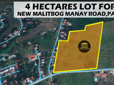Lot For Sale In Manay, Panabo