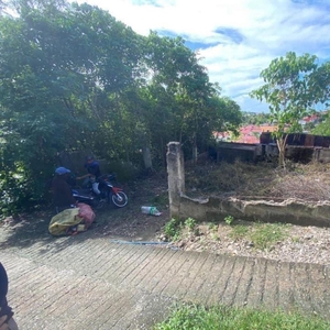 Titled Residential Lot for Sale at San Vicente Liloan