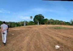 Lot for sale at 700k for 200sqm- Mountain View