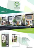 Very Very Cheap House and Lot for Sale in Iloilo