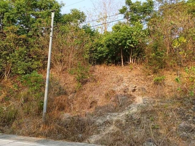 Lot For Sale In Boboy, Agno