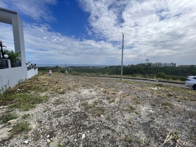 Lot For Sale In Cogon, Compostela
