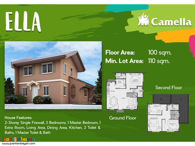 5 Bedroom House and lot for sale ELLA in Tagbilarancity
