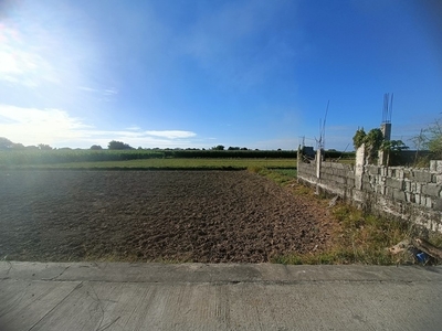 Lot For Sale In Bantaoay, San Vicente
