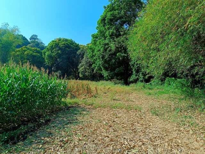 Lot For Sale In Cabalitocan, Luna