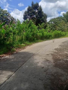 Lot For Sale In Calinan, Davao