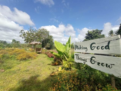 Lot For Sale In Indang, Cavite