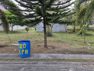 Lot For Sale In Silang Junction North, Tagaytay