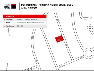 Lot For Sale In Talamban, Cebu